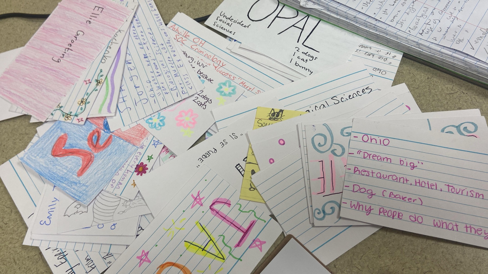 Colorful student index cards used for attendance checking